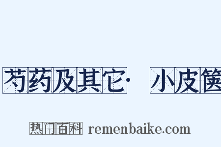芍药及其它·小皮箧是什么意思的图片